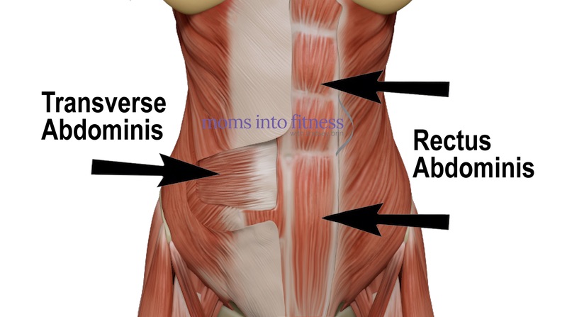 Muscle areas targeted by different types of ab exercises.