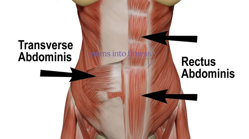 Can You Target Lower Abs?