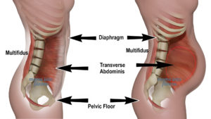 Running The Importance Of Your Core Muscles