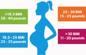 Pregnancy Weight Gain Pregnancy Weight Control